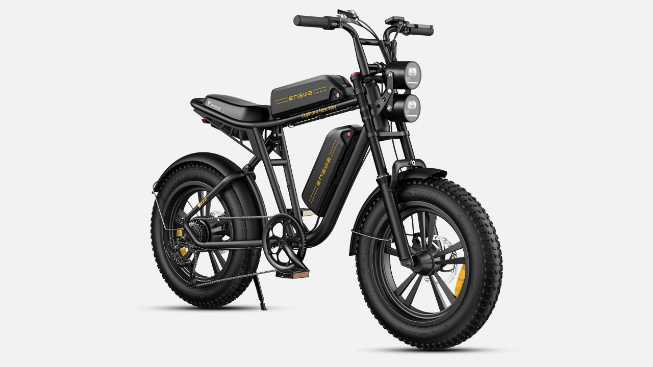 Engwe M20 Fat Tire Electric Bikes